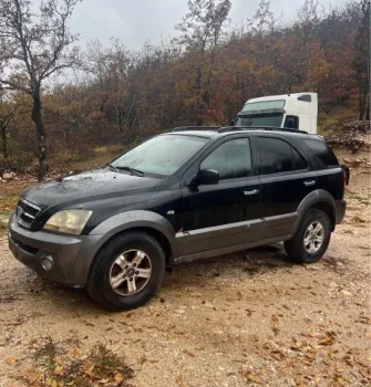 Kiçik şəkil