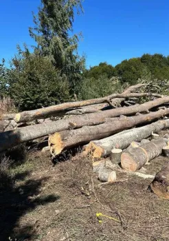 Kiçik şəkil